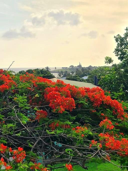 Juju'S Cottage With Magnificent Views Laborie ภายนอก รูปภาพ